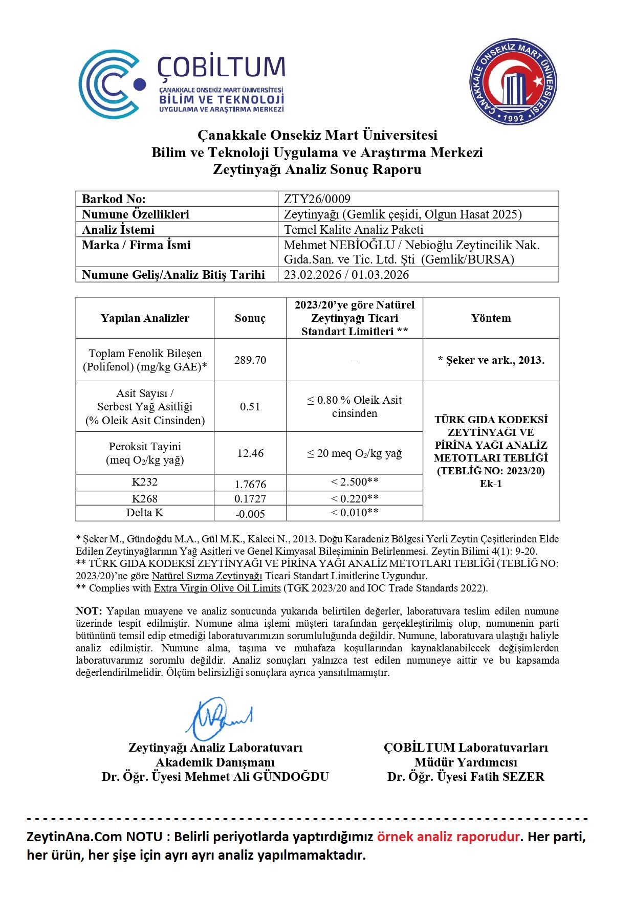 ZeytinAna Taş Baskı Zeytinyağı 5 Lt